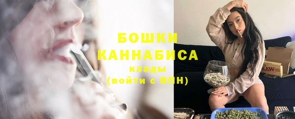 бошки Аркадак