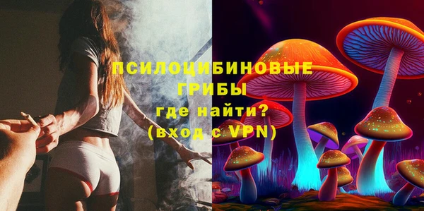 стаф Кинешма
