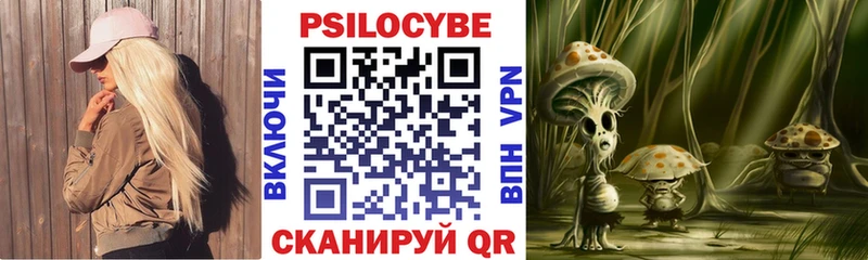 Галлюциногенные грибы Psilocybine cubensis Борисоглебск