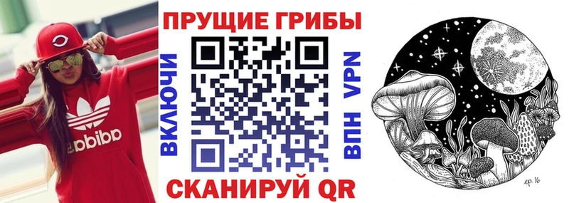 Псилоцибиновые грибы Psilocybine cubensis гидра маркетплейс Борисоглебск