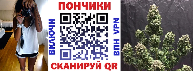 Бошки марихуана Amnesia  Борисоглебск 